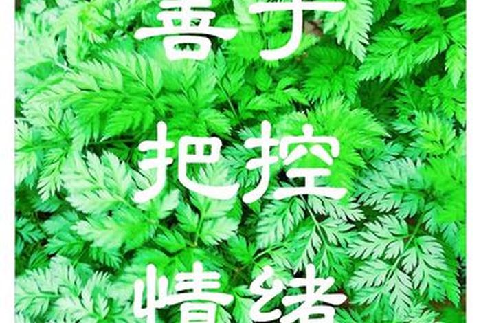 善于