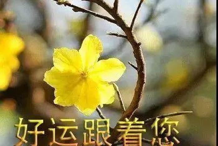 好好