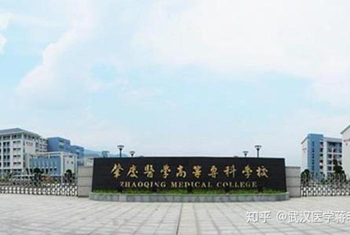 医学学校 - 专科口腔医学学校