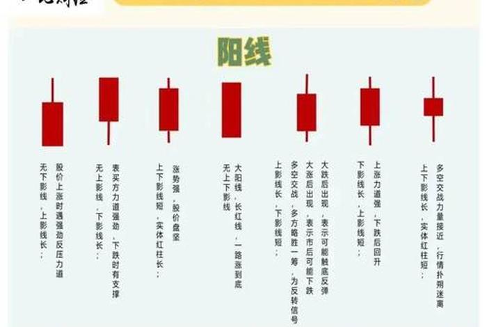 学习股票知识炒股入门教程 - 炒股必读股票入门基础知识