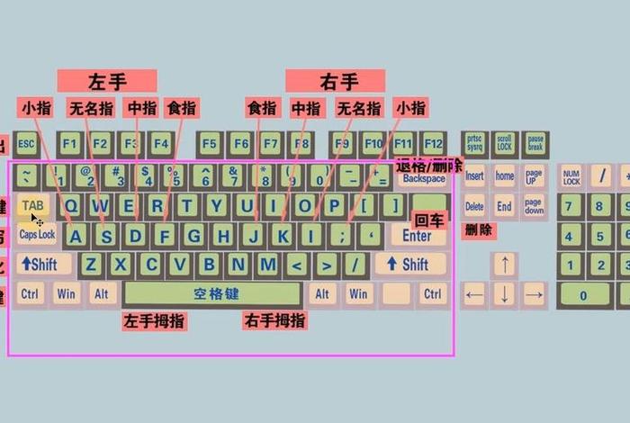 电脑学习入门 - 学电脑入门视频教程