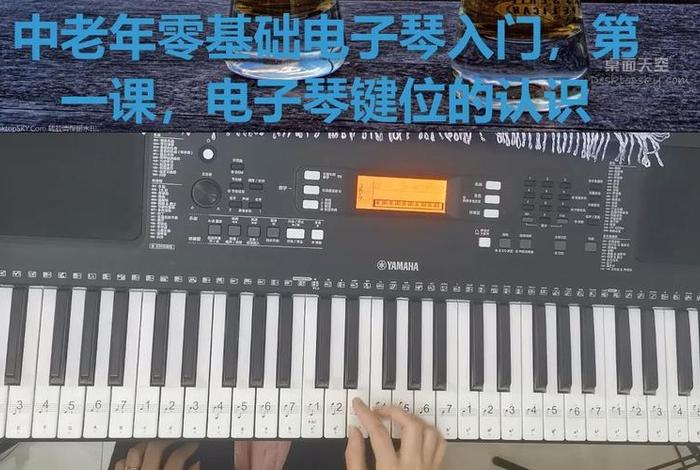 如何学习电子琴，学电子琴的软件免费
