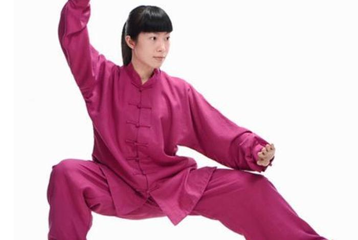学武术的视频教程（中国武术视频）