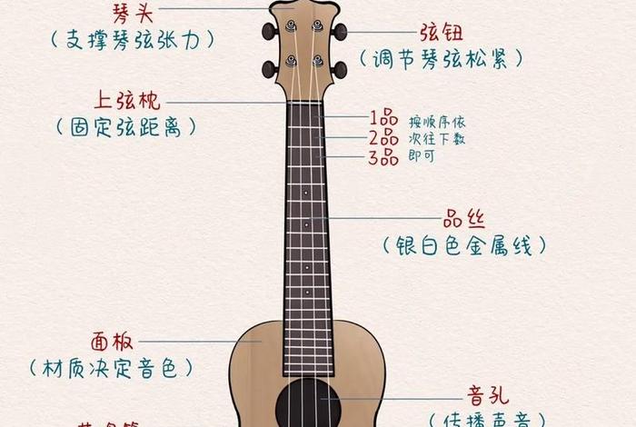 尤克里里教学视频初学者零基础，尤克里里教学视频基础教程