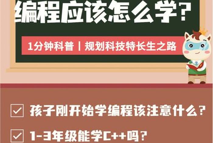 编程学习课程怎么样（编程课值得学吗）