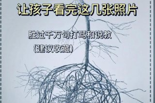 4岁的孩子应该怎么教育和引导（4岁宝宝聪明的九大特征）