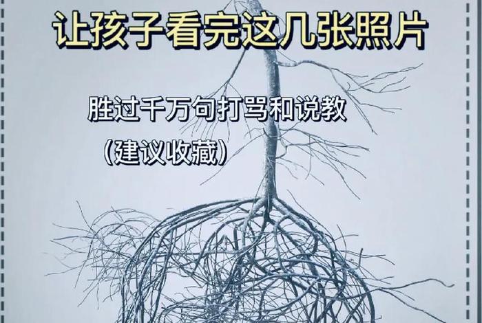 4岁的孩子应该怎么教育和引导（4岁宝宝聪明的九大特征）