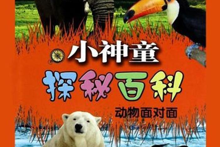 面对