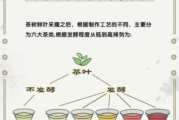 学习茶知识、茶知识讲解