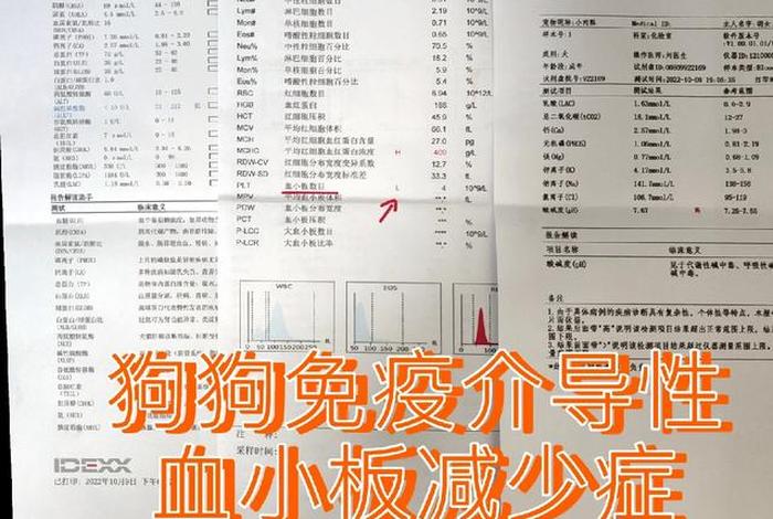 影响血小板减少的原因有哪些（什么会影响血小板的数量）