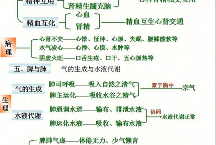 学中医的基本知识 - 中医相关基础知识