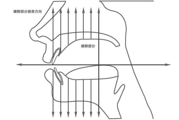学习假声 - 假声的技巧