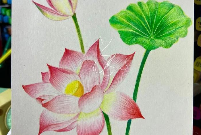 学绘画（学绘画入门教程）