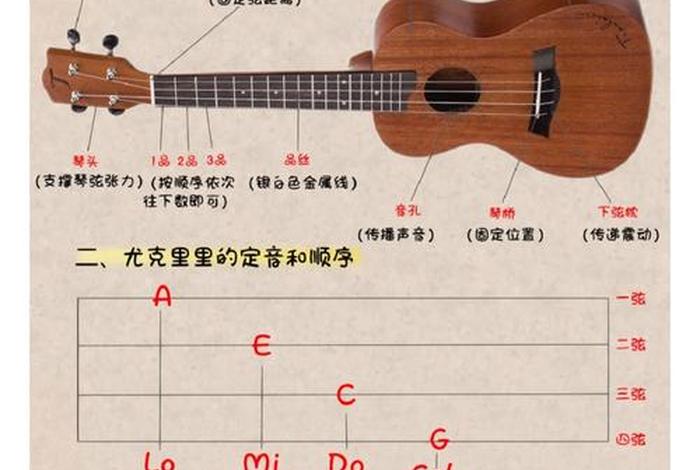 尤克里里几岁开始学最好（尤克里里几岁可以学）