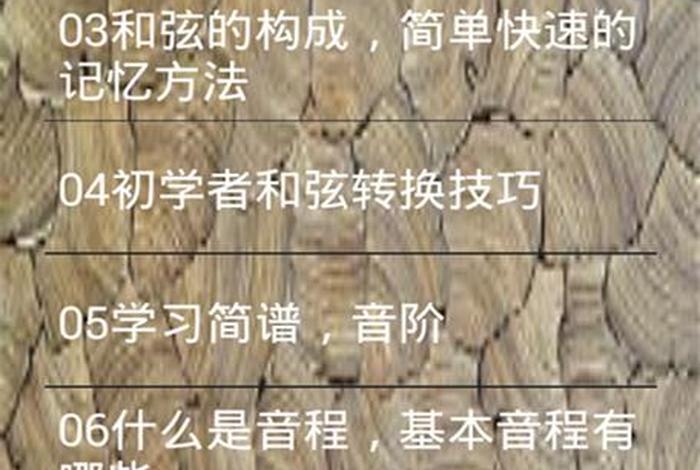 学习乐理知识的app（有没有学乐理知识的软件）