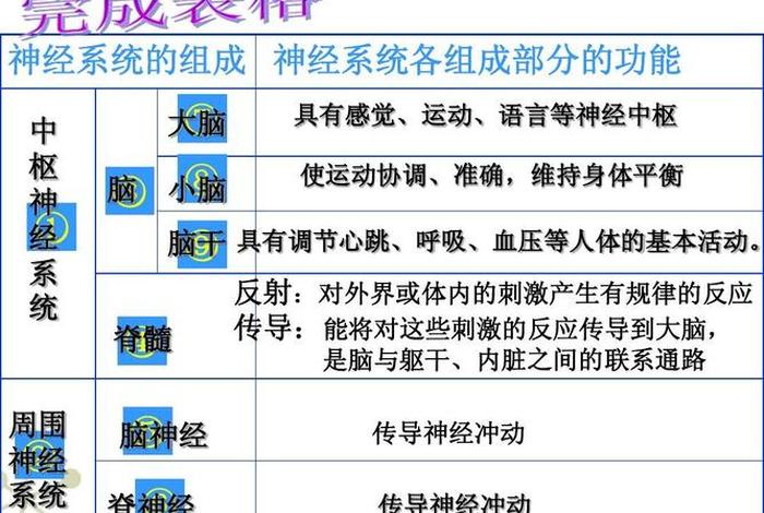 系统神学课程讲义；系统神学课程讲义 免费