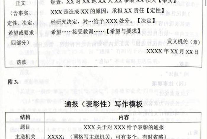 学造型总结；造型总结怎么写