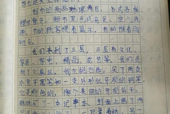虚拟学习室作文 虚拟大学作文
