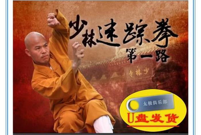 功夫学习全套视频、功夫基础教学视频
