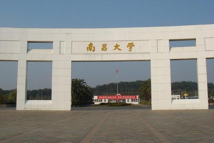 大学