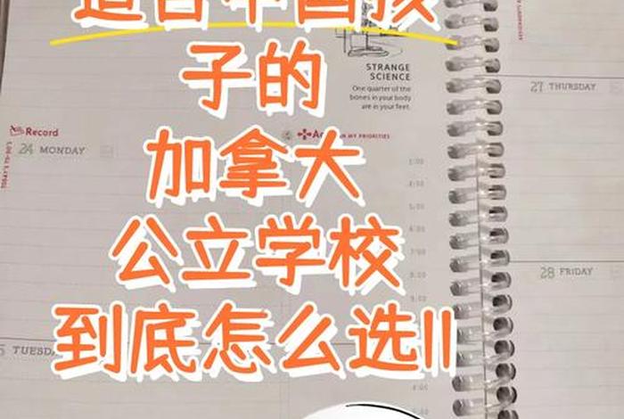 选择学校的标准怎么写（选择学校的方法）
