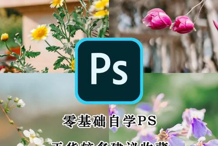 ps入门学习步骤，ps入门基本教程
