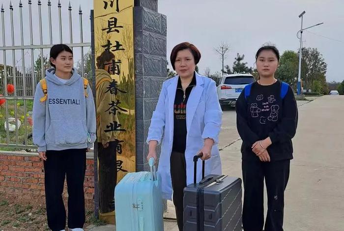 茶学可以报考公司吗、茶学可以报考公司吗女生
