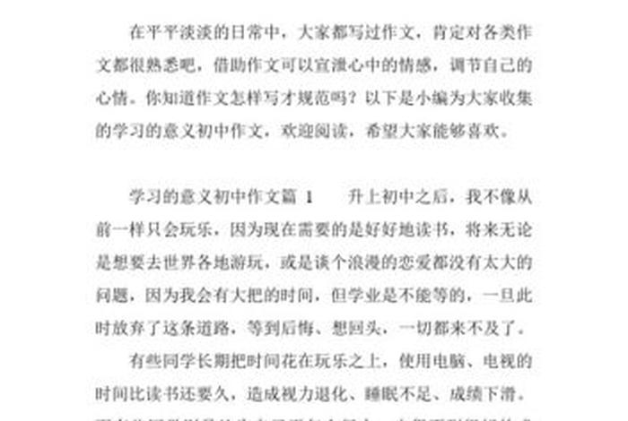 学习的理解和意义作文