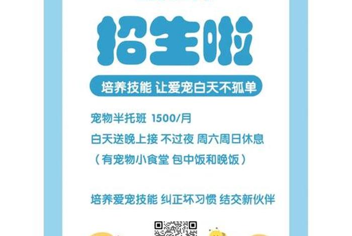 宠物训练学校 - 宠物训练学校价格大概是多少