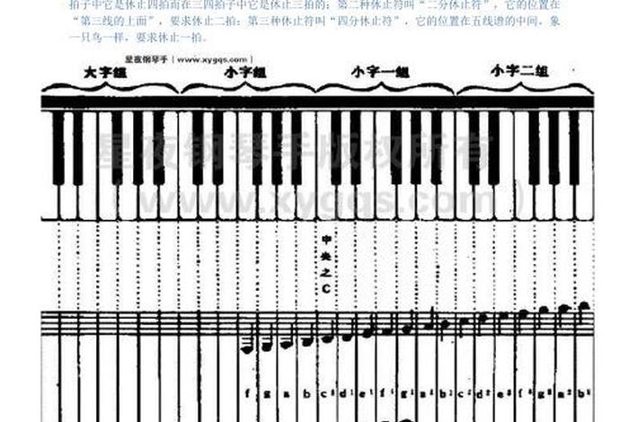 学习琴的基础知识 学琴的基础是什么