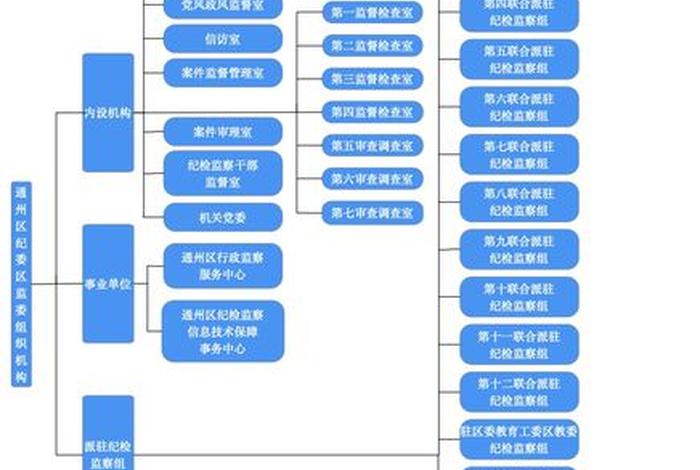 组织