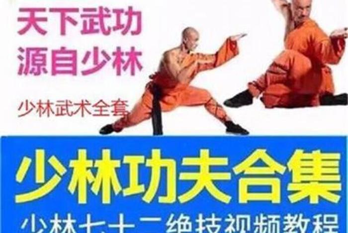 中国武术怎么自学 - 中国武术怎么自学视频教程