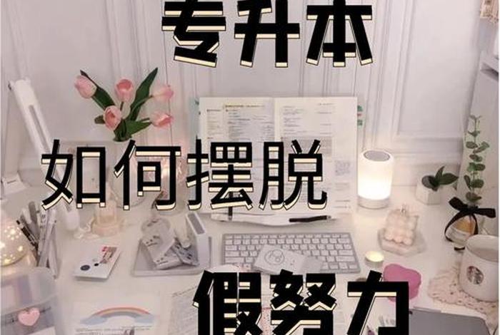 真学习假努力视频；真努力假勤奋