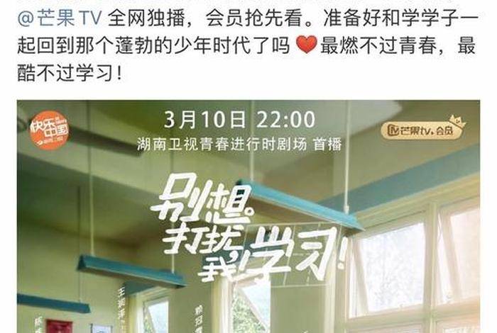 不要打扰我学习电视剧在线免费观看
