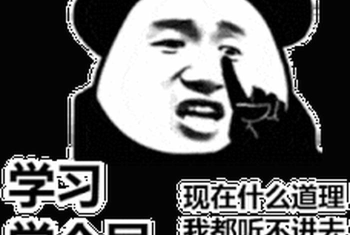 学习 学个屁