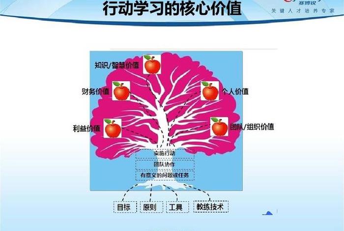 学习行动教育、行动教育简介