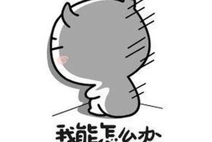 学习的意义搞笑视频