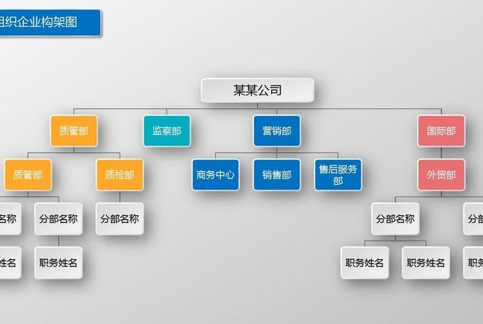组织