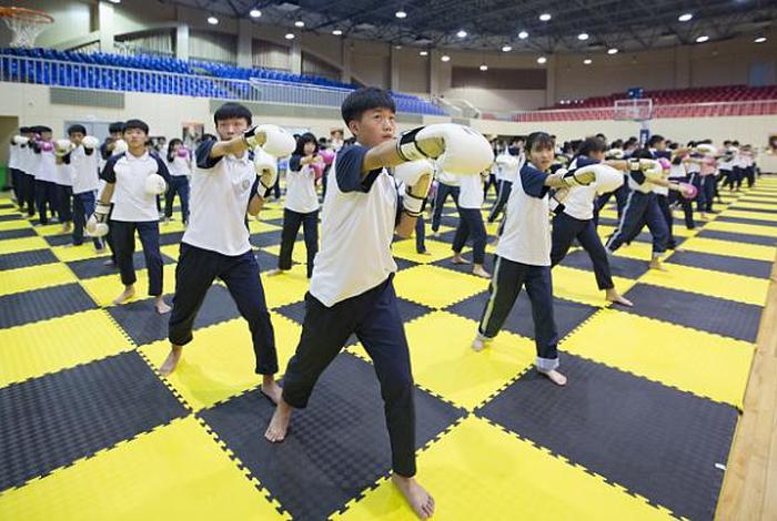 拳击学校简介，拳击学校简介怎么写