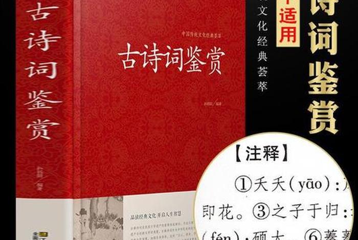 学习古诗词最好的书籍、想读古诗词买什么书好