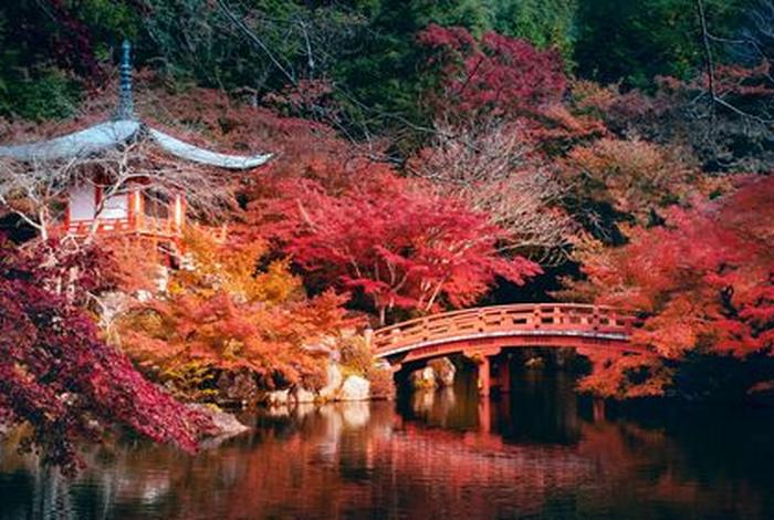 日本