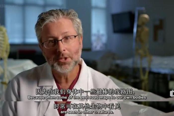 学习生物必看的纪录片、有关生物的纪录片有哪些 学习生物必看的纪录片、有关生物的纪录片有哪些