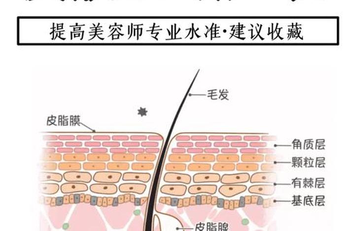 学习皮肤管理要多长时间 学皮肤管理怎么入行
