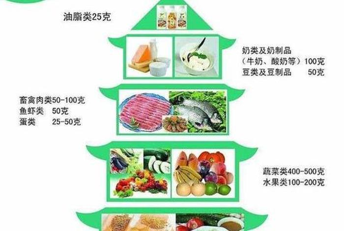 营养学基础、营养学基础知识