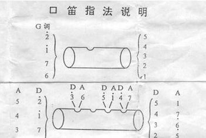 笛子自学入门图解 笛子自学入门图解教程