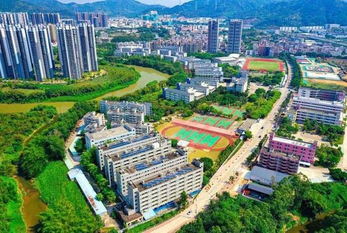 泰雅学校怎么样、泰雅科技有限公司