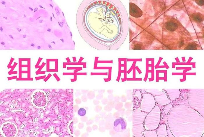 组织学与胚胎学库、组织学与胚胎学库名词解释