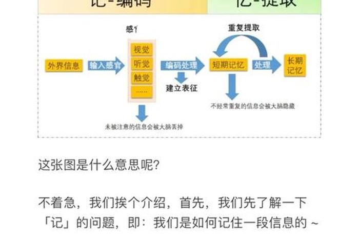 科学的记忆方法是什么；科学记忆方法与训练