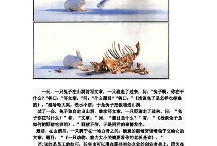 管理学小故事、管理学小故事简短及启示