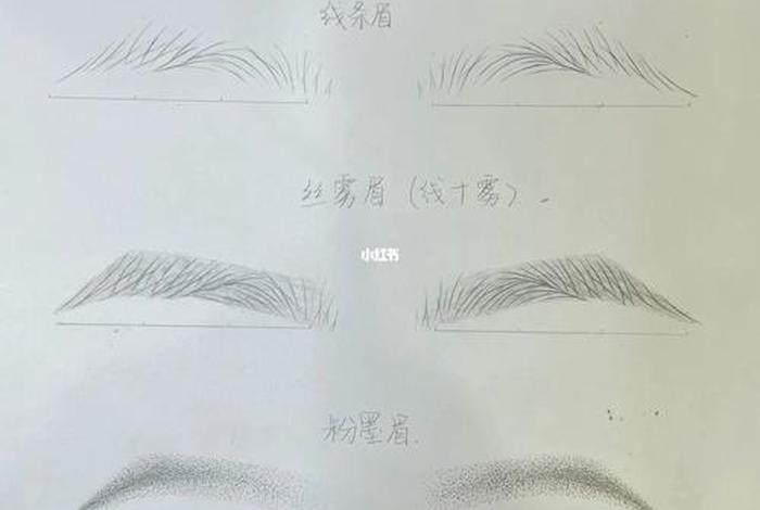 学纹眉的基本知识、学纹眉毛的基本步骤